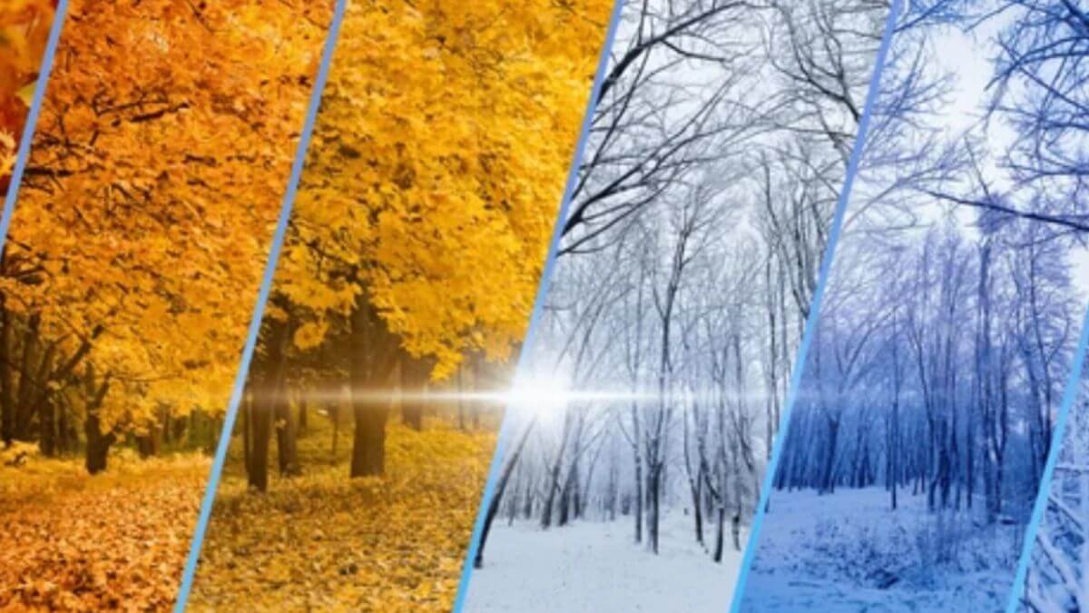Transport seasonality shoulder season planning between peak and trough